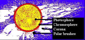 Parts of the sun