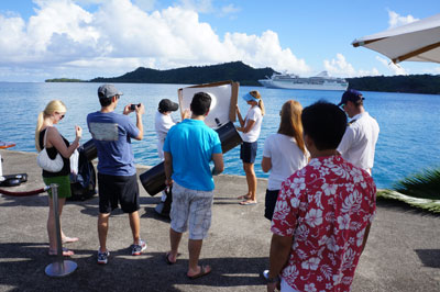 Projected view of the Sun